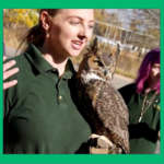 A woman holding a Great Horned Owl on her gloved hand outdoors.