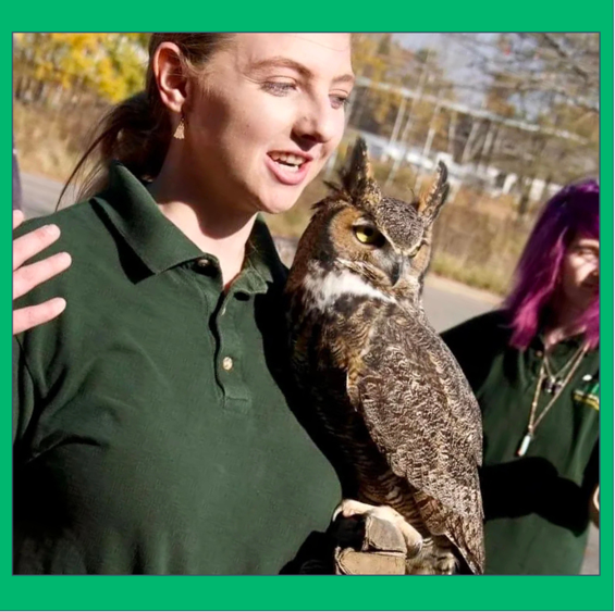 A woman holding a Great Horned Owl on her gloved hand outdoors.